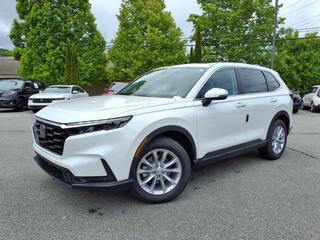 2025 Honda CR-V for sale in Boone NC
