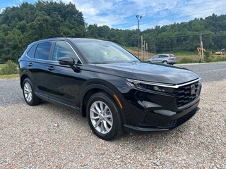 2025 Honda CR-V for sale in Bridgeport WV