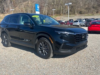 2026 Honda CR-V for sale in Bridgeport WV