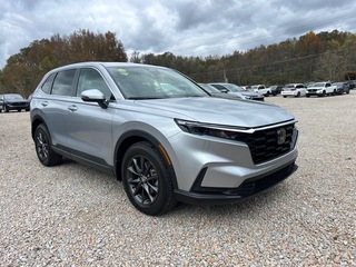 2026 Honda CR-V for sale in Bridgeport WV