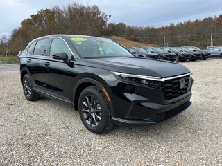 2026 Honda CR-V for sale in Bridgeport WV
