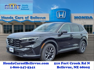 2026 Honda CR-V for sale in Bellevue NE