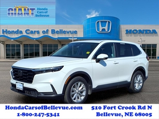 2023 Honda CR-V for sale in Bellevue NE