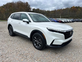 2026 Honda CR-V for sale in Bridgeport WV