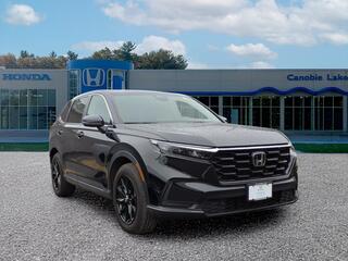 2025 Honda CR-V for sale in Memphis TN