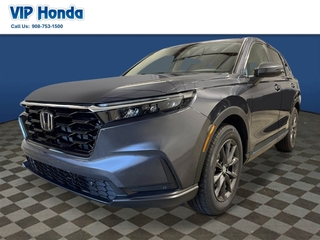 2026 Honda CR-V for sale in North Plainfield NJ