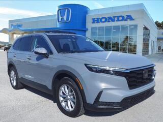 2025 Honda CR-V for sale in Morehead City NC