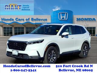 2024 Honda CR-V for sale in Bellevue NE