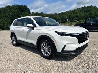 2025 Honda CR-V for sale in Bridgeport WV