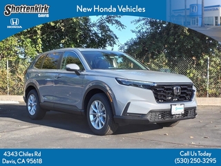 2025 Honda CR-V for sale in Davis CA