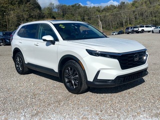2026 Honda CR-V for sale in Bridgeport WV