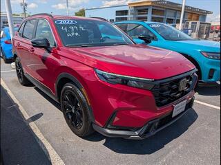 2023 Honda CR-V Hybrid for sale in Bowling Green KY