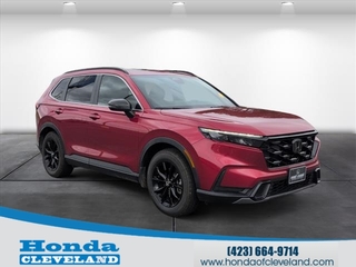 2023 Honda CR-V Hybrid for sale in Cleveland TN