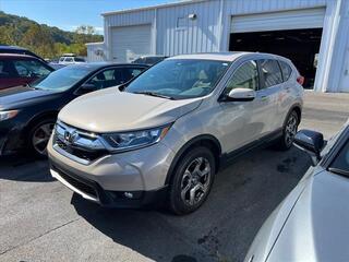 2019 Honda CR-V for sale in Morristown TN