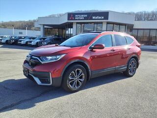 2020 Honda CR-V for sale in Kingsport TN