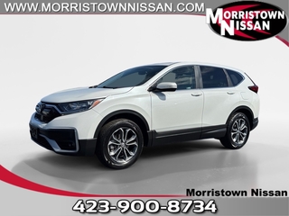 2019 Honda CR-V for sale in Morristown TN