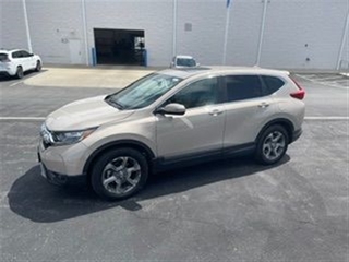 2019 Honda CR-V for sale in Bourbonnais IL