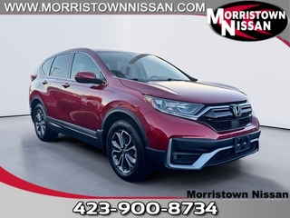 2021 Honda CR-V for sale in Morristown TN