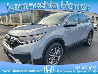 2020 Honda CR-V for sale in Syracuse NY