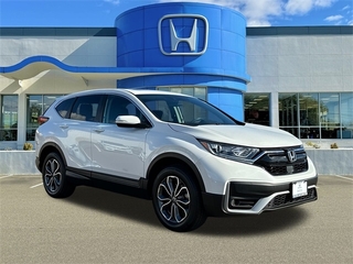 2022 Honda CR-V for sale in Wallingford CT