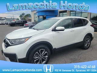 2022 Honda CR-V for sale in Syracuse NY