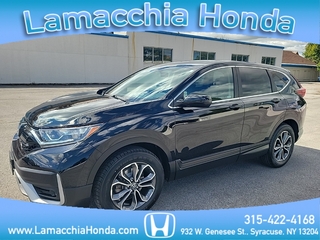 2022 Honda CR-V for sale in Syracuse NY