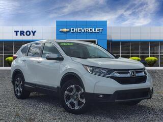 2019 Honda CR-V for sale in Troy OH