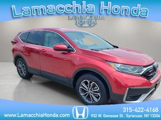 2020 Honda CR-V for sale in Syracuse NY