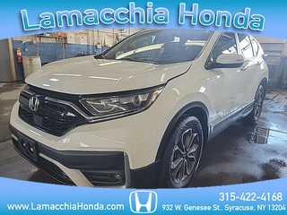2020 Honda CR-V for sale in Syracuse NY