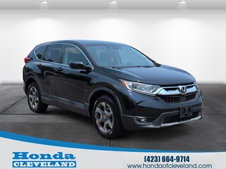 2019 Honda CR-V for sale in Cleveland TN