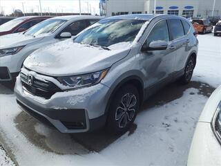 2022 Honda CR-V for sale in Maumee OH