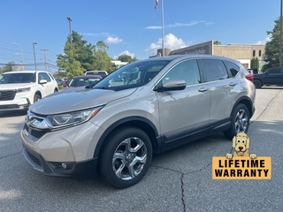 2019 Honda CR-V for sale in Boone NC