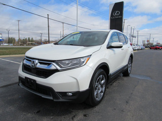 2018 Honda CR-V for sale in Toledo OH