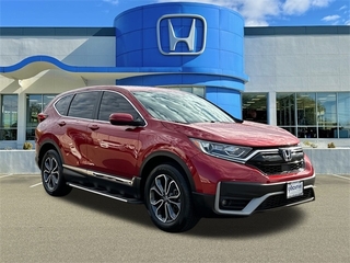 2022 Honda CR-V for sale in Wallingford CT