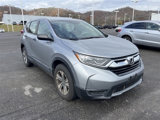 2019 Honda CR-V for sale in Morristown TN