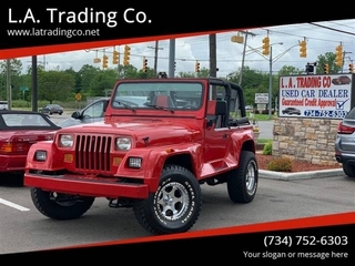 1992 Jeep Wrangler for sale in Woodhaven MI