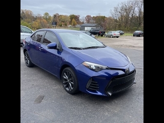 2019 Toyota Corolla for sale in Bristol TN