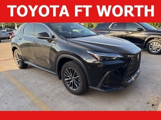 2025 Lexus NX 250