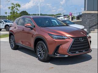 2025 Lexus NX 250 for sale in Chattanooga TN