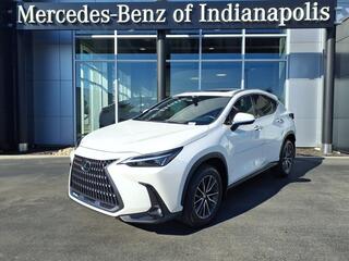2024 Lexus NX 250