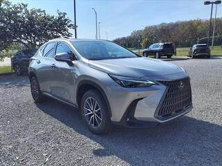 2025 Lexus NX 250 for sale in Nashville TN