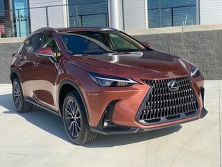 2025 Lexus NX 250 for sale in Chattanooga TN