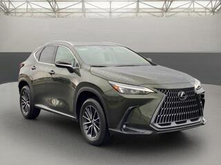 2024 Lexus NX 250 for sale in Chattanooga TN