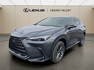 2022 Lexus NX 250 for sale in Allentown PA