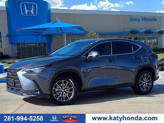 2025 Lexus NX 250