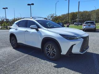 2025 Lexus NX 250 for sale in Nashville TN