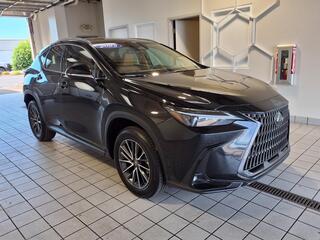 2025 Lexus NX 250