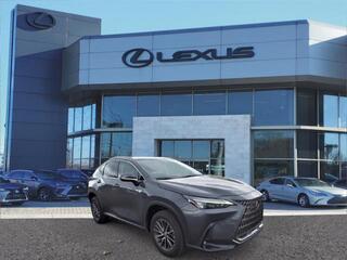 2022 Lexus NX 250 for sale in Nashville TN