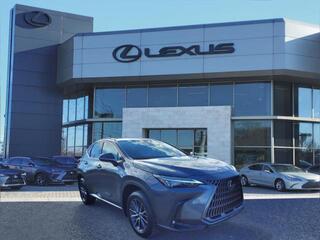 2024 Lexus NX 250 for sale in Nashville TN