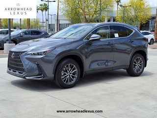 2025 Lexus NX 250